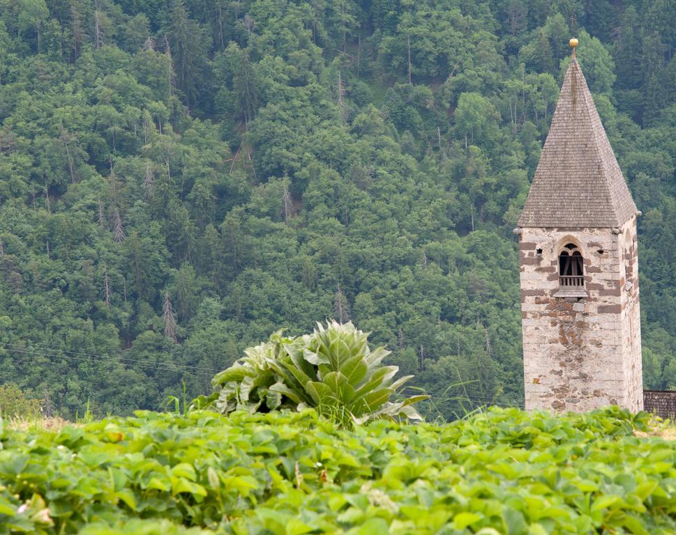 Ausservogelweiderhof Laion Extérieur photo